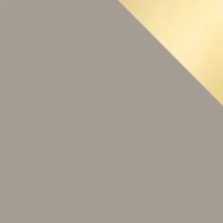 Armadio 100x215h cm 2 ante moderno beige oro Glammy 2