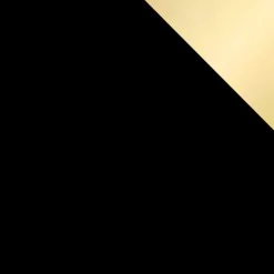 Armadio 100x215h cm 2 ante 2 specchi moderno nero oro Glammy 2